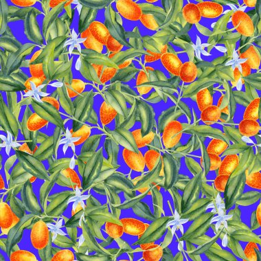 Kumquat dalları suluboya desenli. Turuncu turuncu meyveler ve sonsuz bir arkaplan bırakıyor. Tropik ağaç eli çizilmiş süs. Tekstil ve ambalaj kağıdı için.