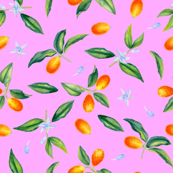 Ramas Kumquat Con Flores Acuarela Patrón Sin Costuras Cítricos Naranjas —  Fotos de Stock