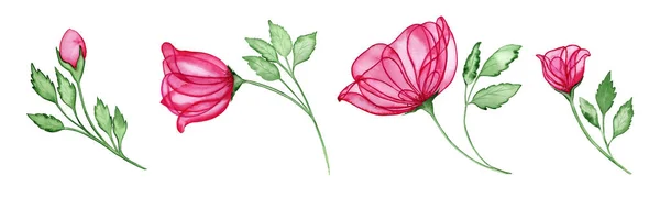 Átlátszó Rózsaszín Rózsa Virágok Akvarell Készlet Kézzel Rajzolt Virágzó Virágok — Stock Fotó