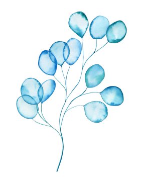 Şeffaf okaliptüs filizi ve suluboya çizimi. Kartlar ve düğün tasarımı için el çizimi desen.