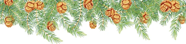 Ramos Árvore Natal Coníferas Com Cones Borda Sem Costura Aquarela — Fotografia de Stock
