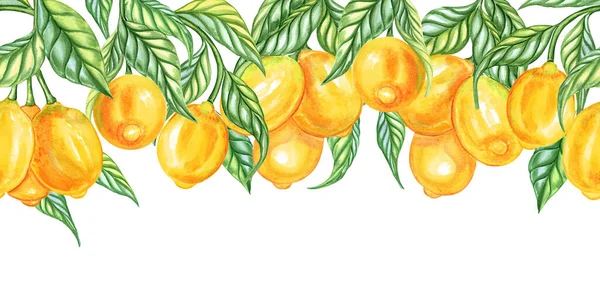 Limões Aquarela Borda Horizontal Sem Costura Infinita Frutos Cítricos Amarelos — Fotografia de Stock