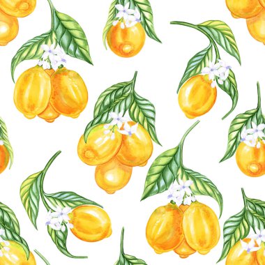 Dallardaki limon meyveleri ve çiçekler suluboya, pürüzsüz desen. Duvar kâğıdı ve kumaş için çiçek açan narenciye dallarıyla sonsuz bir arka plan. Yaz el çizimi Akdeniz baskısı.