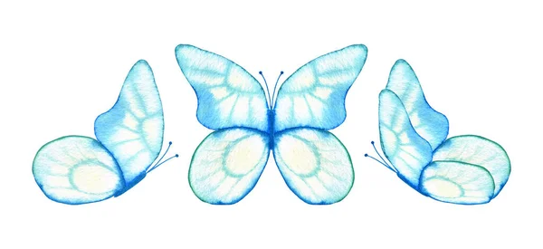 Blaue Transparente Aquarell Schmetterlinge Set Handgezeichnetes Cliparts Für Design — Stockfoto