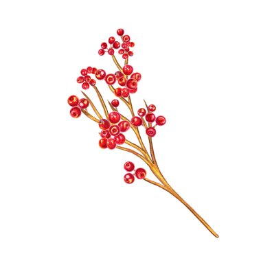 Bir dalda kırmızı kış meyveleri suluboya Noel illüstrasyonunda. Yeni yılın tasarımı için parlak meyveli el çizimi. Holly ve Kış Rowan.