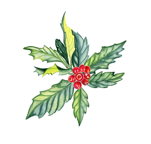 Vintage Christmas Holly Branch - Holly - Posters and Art Prints