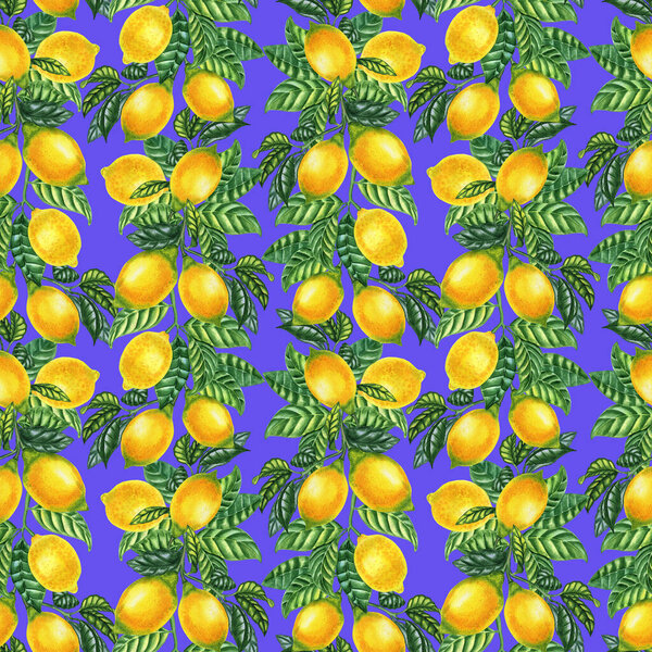 Спелые желтые лимоны на ветвях с акварелью. Ручной рисунок тропических фруктов бесконечный фон для ткани и обоев.