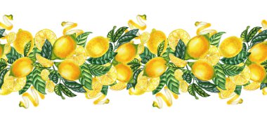 Yaprakları ve parçaları suluboya ve pürüzsüz yatay desenli dalları olan olgun sarı limonlar. El çizimi tropikal meyve sonsuz kurdele.