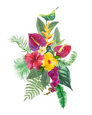 Tropik çiçekler ve yapraklar suluboya resimlerini düzenler. Kartlar ve tasarım için egzotik bitkilerin elle çizilmiş kompozisyonu. Hawaii buket stili.