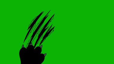 Cat Paw Vurucu Ekran Canlandırması Yeşil Ekran Oynatıcı Kedi Hareketi