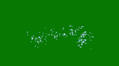 Yeşil ekran üzerindeki su efektleri, su sıçraması, akıntı, girdap, damla, püskürtme, köpük, dökme, sis vs. Krom anahtar 4k. 