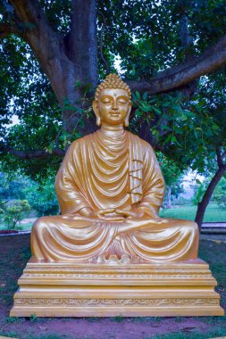 Buda heykeli parkta.