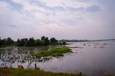 Arka planda nehir ve göl olan güzel bir manzara.