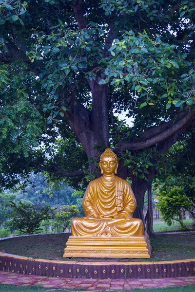 Buddha Statue Forest — Stock Photo, Image