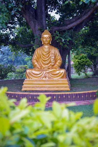 Estátua Buddha Parque Verde — Fotografia de Stock