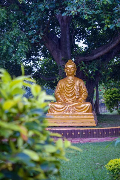 Χρυσό Άγαλμα Της Βούδας Στο Ναό — Φωτογραφία Αρχείου