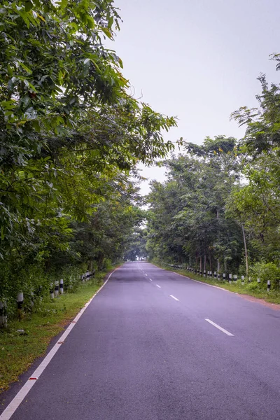Empty Road Forest — Stock Photo, Image