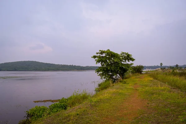 Nehir ve ağaçlarla dolu güzel bir manzara