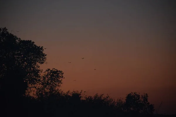 Γραφική Θέα Του Όμορφου Ηλιοβασιλέματος — Φωτογραφία Αρχείου