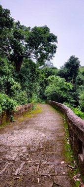 Parkın güzel manzarası