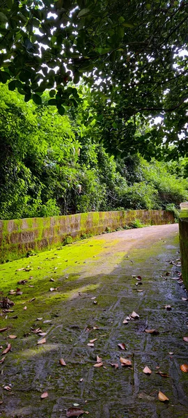 stock image beautiful view of the park