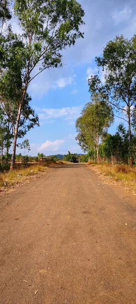 Estrada Cena Rural — Fotografia de Stock