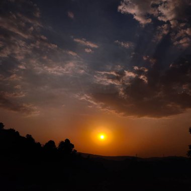 Gün batımlı bir ağacın silueti.