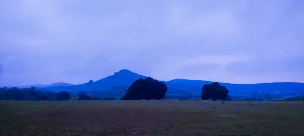 Ağacı ve dağı olan güzel bir manzara.