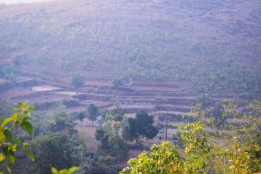 Vadisi ve birkaç ağacı olan bir dağ.