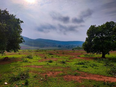 Hindistan 'ın kırsal kesiminde manzara