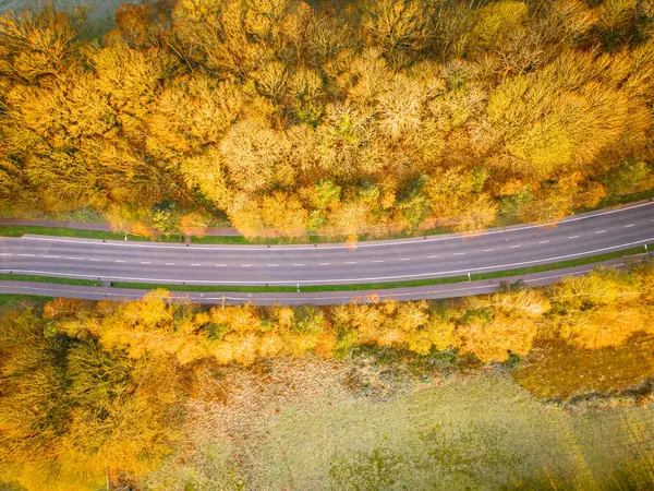 aerial drone view of road in autumn forest yellow