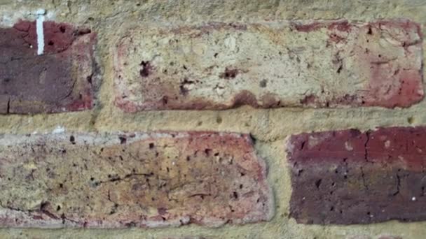 Texture Fond Mur Brique Rouge Isolé — Video