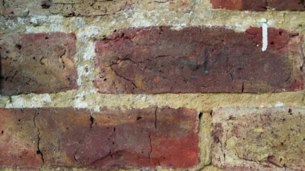 Latar Belakang Tekstur Dari Dinding Bata Merah Terisolasi — Stok Video