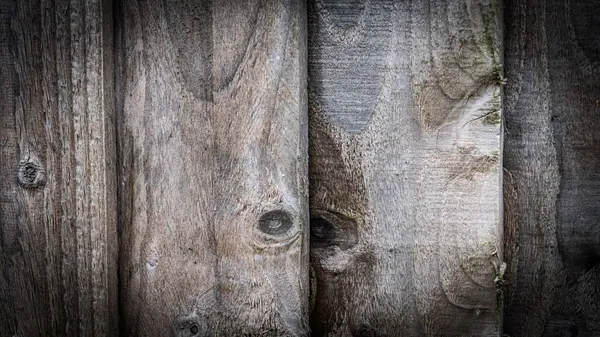 Захватывающее Изображение Показывающее Замысловатый Рисунок Зерна Теплые Земляные Тона Натуральной — стоковое фото