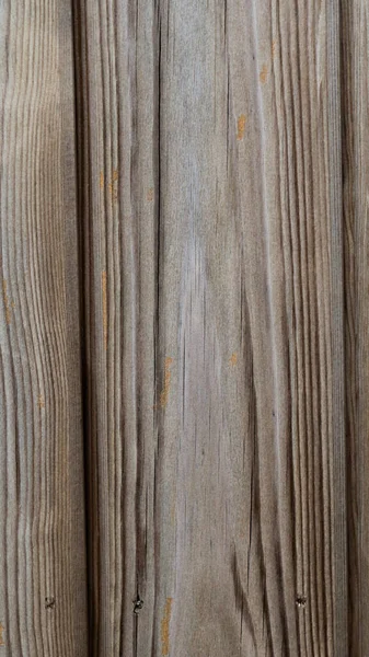 複雑なグレインパターンと温かみのある 自然の木の芸術的なトーンを示す魅惑的なイメージ この多目的な木の質はさまざまな内部の設計および装飾的なプロジェクトのために完全です — ストック写真
