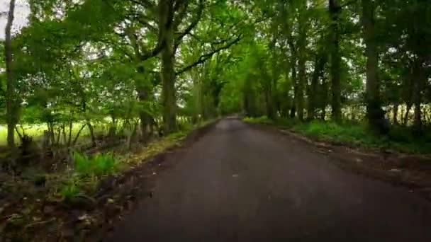 イングランドの緑豊かなイギリスの田園地帯をゆったりと駆け抜ける間に撮影された晴れた夏の風景 中世の建築 澄んだ空は自然と歴史の美しい景色を提供しています — ストック動画