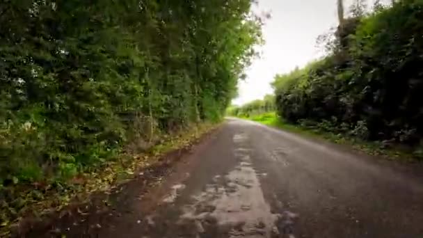 Słoneczny Letni Krajobraz Uchwycony Podczas Spokojnej Jazdy Przez Bujną Brytyjską — Wideo stockowe