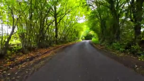 Słoneczny Letni Krajobraz Uchwycony Podczas Spokojnej Jazdy Przez Bujną Brytyjską — Wideo stockowe