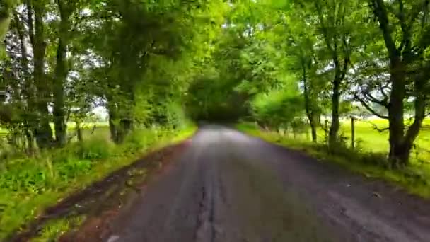 Een Zonnig Zomers Landschap Vastgelegd Tijdens Een Ontspannen Rit Door — Stockvideo