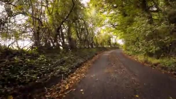 Una Pittoresca Immagine Una Strada Rurale Autunno Circondata Fogliame Vibrante — Video Stock