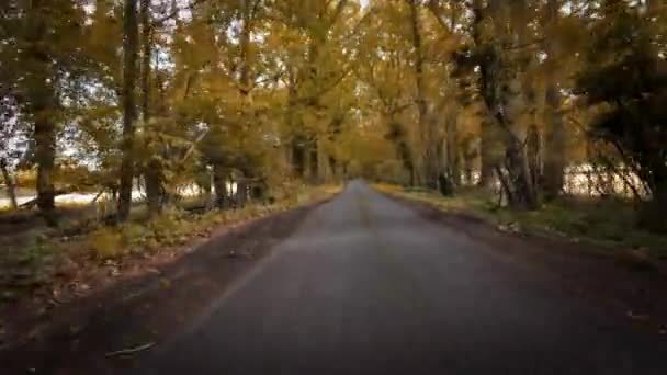 Живописный Образ Сельской Дороги Осенью Окруженный Яркой Листвой Оттенках Красного — стоковое видео