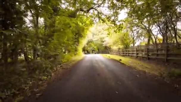 Malebný Obraz Venkovské Silnice Podzim Obklopený Zářivým Listím Odstínech Červené — Stock video