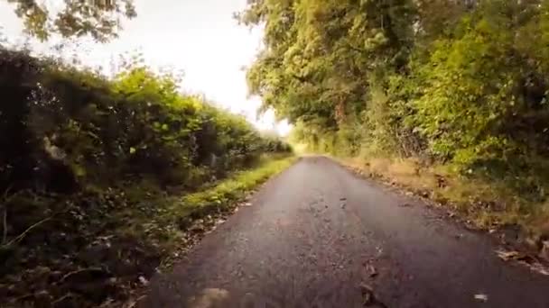 Een Pittoresk Beeld Van Een Landelijke Weg Herfst Omgeven Door — Stockvideo