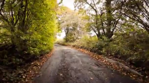 オレンジ 黄色の色合いの鮮やかな葉に囲まれた秋の田舎の道路の絵画 この静かなシーンは田舎の美しさを探索するためにあなたを招待します — ストック動画