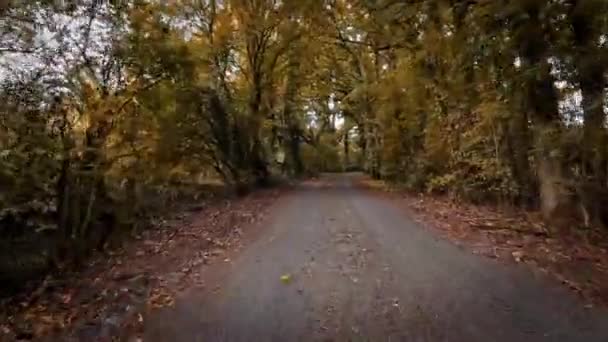 Malowniczy Obraz Wiejskiej Drogi Jesienią Otoczony Tętniącymi Życiem Liśćmi Odcieniach — Wideo stockowe