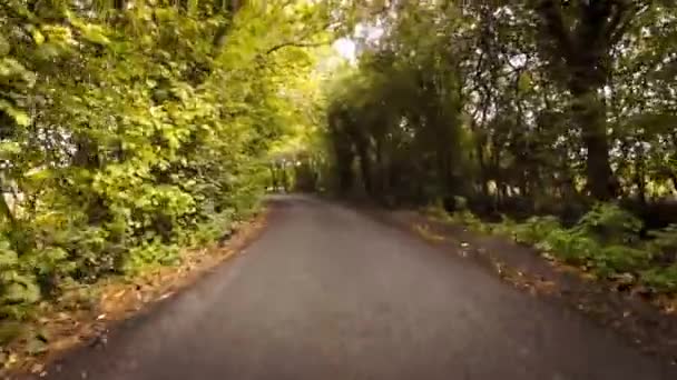 Picturesque Image Rural Road Autumn Surrounded Vibrant Foliage Shades Red — Stock Video
