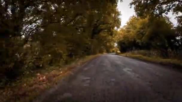 オレンジ 黄色の色合いの鮮やかな葉に囲まれた秋の田舎の道路の絵画 この静かなシーンは田舎の美しさを探索するためにあなたを招待します — ストック動画