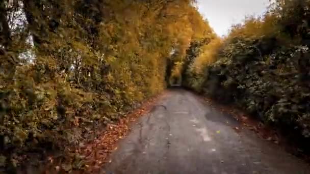 Une Image Pittoresque Une Route Rurale Automne Entourée Feuillage Vibrant — Video