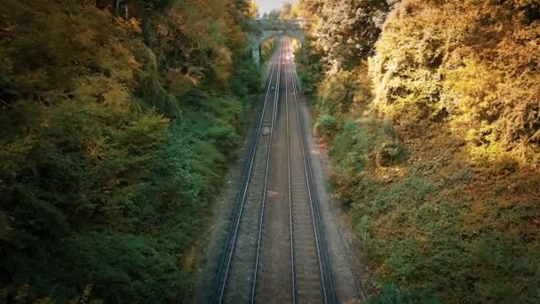 緑豊かな森の中を流れる鉄道の美しい景色 スチールトラックは自然と調和し 自然を通して静かな旅にあなたを招待します — ストック動画