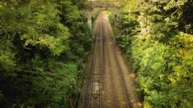 Bereketli bir ormanın içinden geçen bir demiryolu manzarası. Çelik izler doğal çevreyle uyumlu bir şekilde harmanlanarak sizi doğada huzurlu bir yolculuğa davet ediyor..
